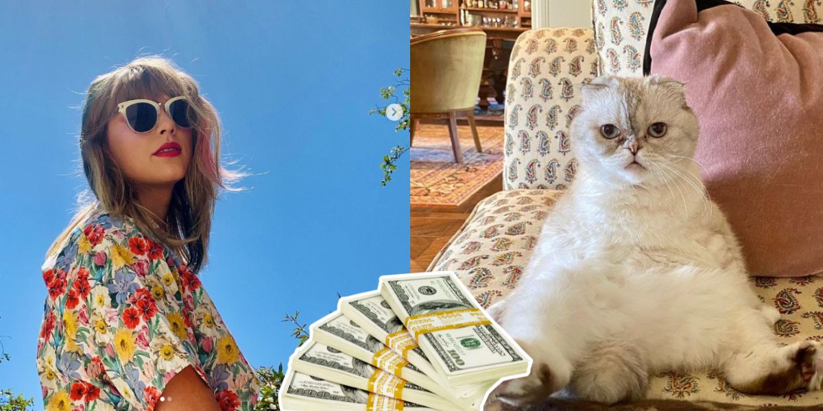 Taylor Swift's cat is worth $97 million, plus other rich pets rolling in it  (money that is) - 4CA
