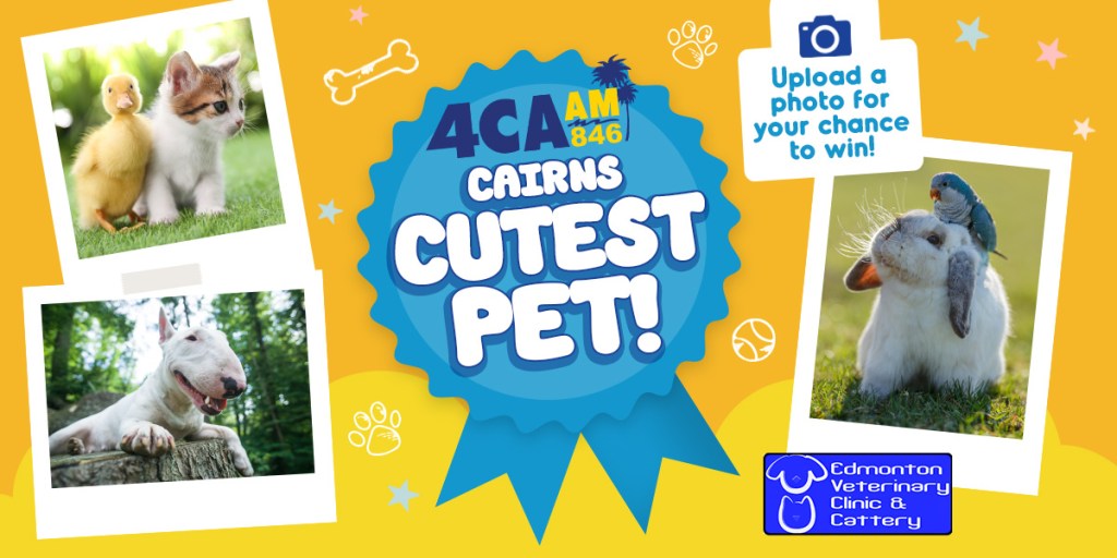 Cairns Cutest Pet 2025