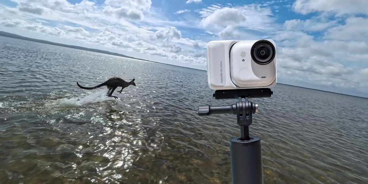 Tech Review: Insta360 Go Ultra Catches This Beautiful Aussie Wildlife Moment